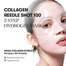 VT Cosmetics Collagen Reedle Shot 100 2Step Hydrogel Mask 1pc