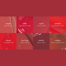 Absidy Glazing Serum Lip Stain 1pc