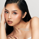 Absidy Glazing Serum Lip Stain 1pc