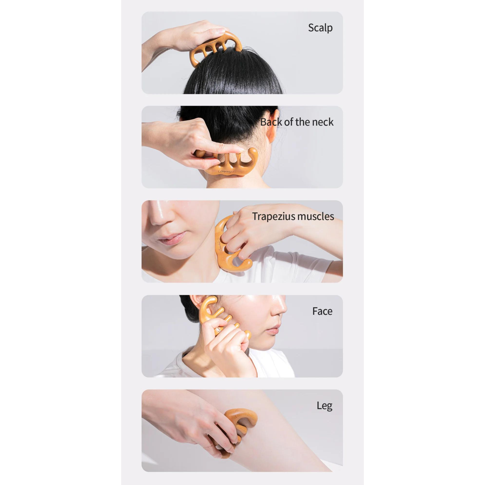 Benton Scalp Brush Massager 1pc | Scalp Massager Benton Scalp Brush Massager 1pc | Scalp Massager