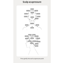 Benton Scalp Brush Massager 1pc