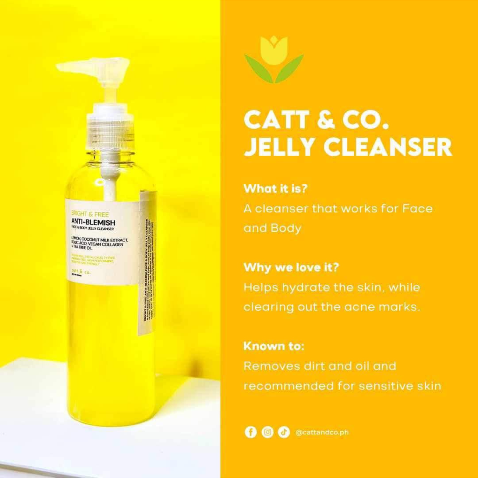 Catt & Co. Bright & Free Anti-Blemish Face & Body Jelly Cleanser 250ml | Cleansers Catt & Co. Bright & Free Anti-Blemish Face & Body Jelly Cleanser 250ml | Cleansers