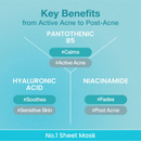 Numbuzin No. 1 Pantothenic B5 Hyaluronic Active Clear Mask