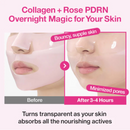 Numbuzin No. 2 Rose PDRN Overnight Collagen Mask