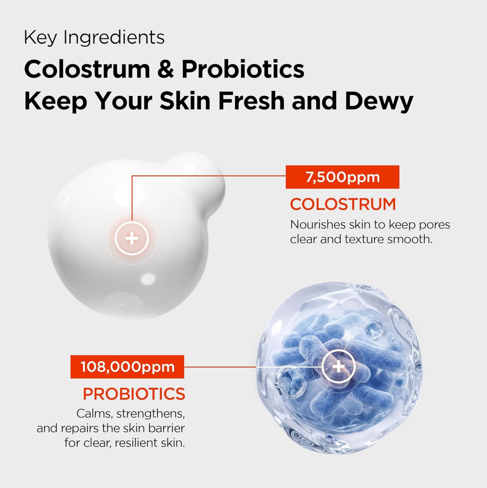 Purcell 24/7 Colostrum Pore Defence Ampoule 55ml | Face Mist Purcell 24/7 Colostrum Pore Defence Ampoule 55ml | Face Mist