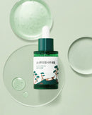 Round Lab Pine Calming Cica Ampoule 30ml