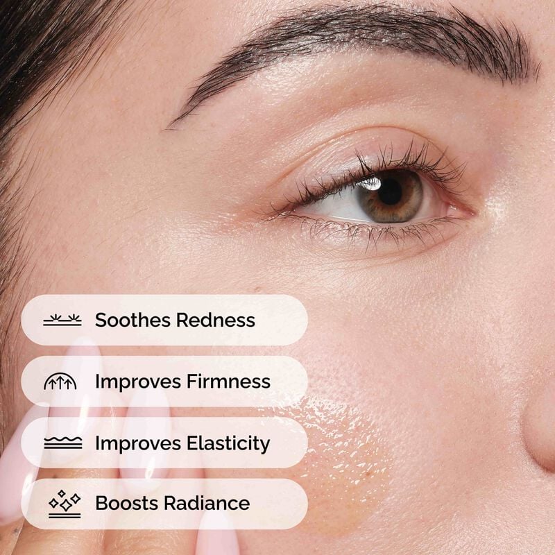 the ordinary rose hip seed oil ingredients The Ordinary 100% Fermented Rose Hip Seed Oil 30ml