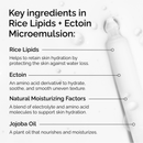 The Ordinary Rice Lipids + Ectoin Microemulsion 60ml