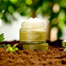 I'm from Mugwort Cream 50g